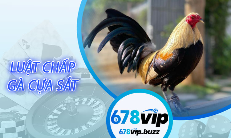 Luật chấp gà cựa sắt